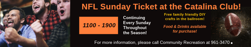 NFL Sunday Ticket 2024 800 x 150.png